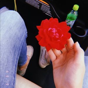 Meet your Posher, Taylor